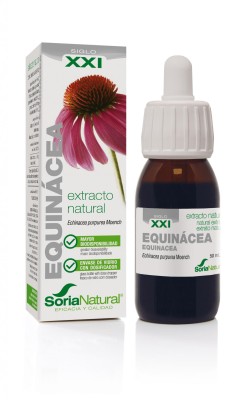 Extrato Equinácea XXI 50ml