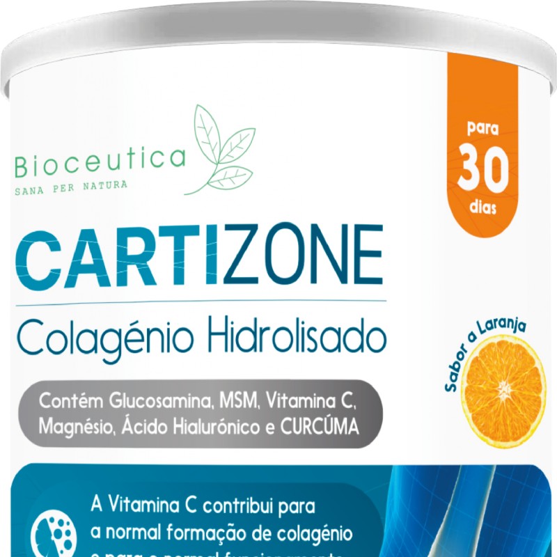 Cartizone Bioceutica 390g em pó