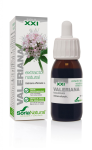 Extrato Valeriana XXI 50ml